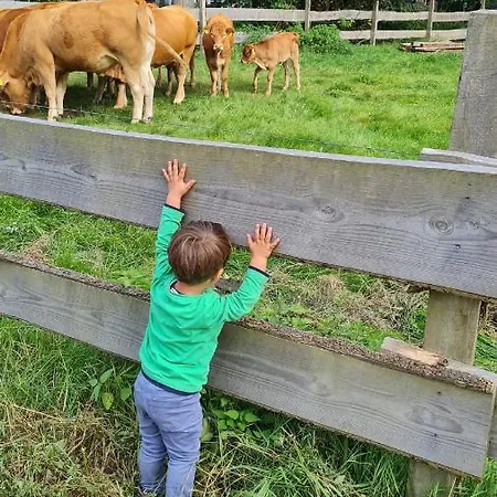 Haus Mila Bienenbuettel