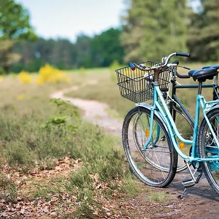 Haus Mila Konukevi Bienenbuettel