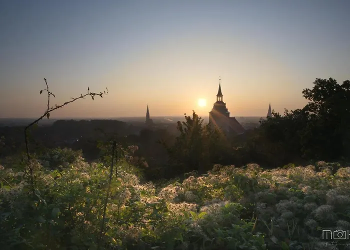 Haus Mila Bienenbuettel